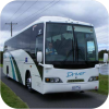 Driver Bus Lines Coaches